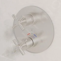 Steinberg 250 - Afdekset Voor Thermostaat Voor 2 Functies, Geborsteld Nikkel 250 4133 3 BN -AquaKranen Verkoop 1f261069c28dce878ffaab88