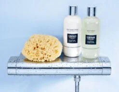 Grohe Grohtherm 2000 - Thermostatische Douchekraan, Chroom 34469001 14 Grohe Grohtherm 2000 - Thermostatische Douchekraan, Chroom 34469001 -AquaKranen Verkoop 4c5ed9d9949c348564488d1c