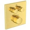 Ideal Standard CeraTherm Navigo - Inbouwthermostaat, Opbouwdeel, 2 Gebruikers, Brushed Gold A7302A2 2 Ideal Standard CeraTherm Navigo - Inbouwthermostaat, Opbouwdeel, 2 Gebruikers, Brushed Gold A7302A2 -AquaKranen Verkoop 5c6bd7ce36202447298b7a57
