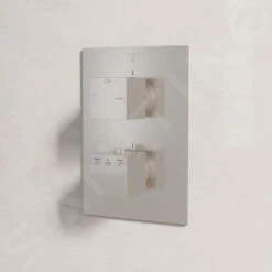 Steinberg 160 - Afdekset Voor Thermostaat Voor 2 Functies, Geborsteld Nikkel 160 4133 3 BN -AquaKranen Verkoop 6e57dcf73893c13af9087de3